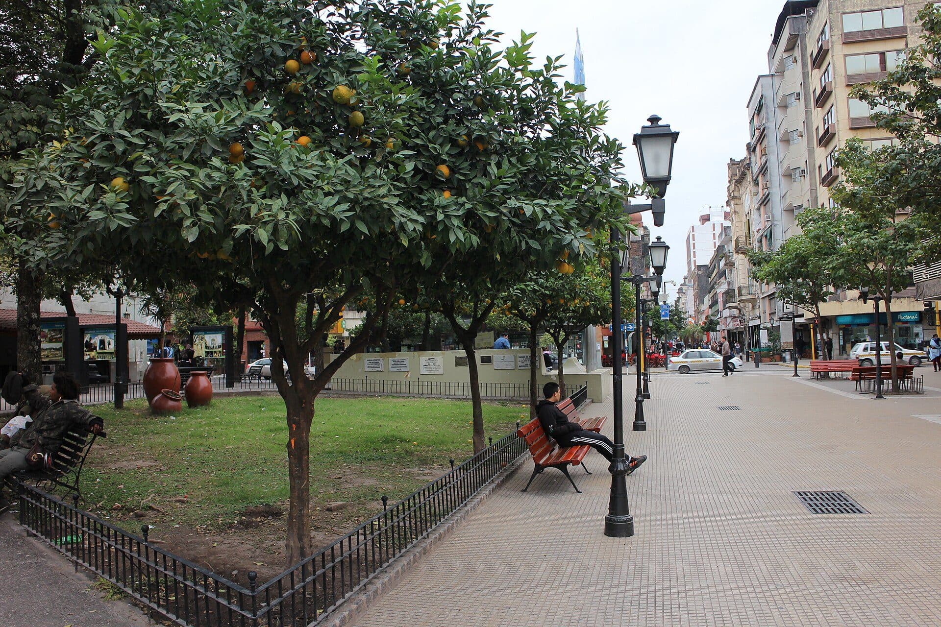 Vereda arbolada con naranjos en el centro de San Miguel de Tucumán
